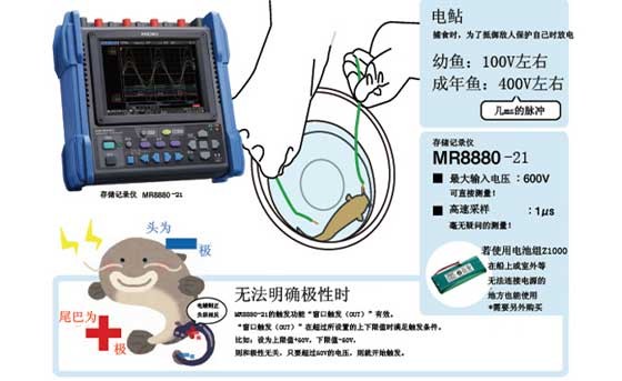 帶電魚的電壓測量